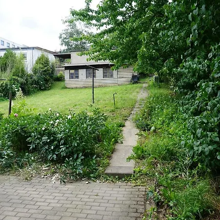 Fewo Trina Bernkastel-Kues Exterior foto
